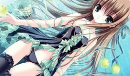 什么动漫,忍者世界的传奇征程